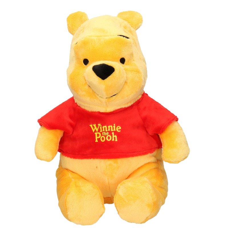 Een evenement Perforatie avond Disney Winnie the Pooh knuffel 43 cm speelgoed | Fun en Feest Megastore  Alkmaar