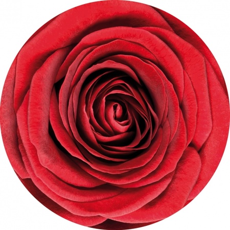 10 ronde onderzetters met rode roos