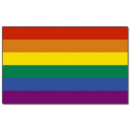 Regenboog versiering vlag