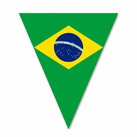 Braziliaanse vlaggenlijn voor buiten 5 m