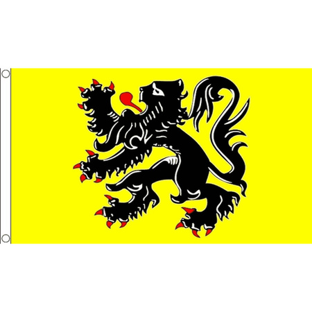 Vlaamse vlaggen 90 x 150 cm met zwarte leeuw