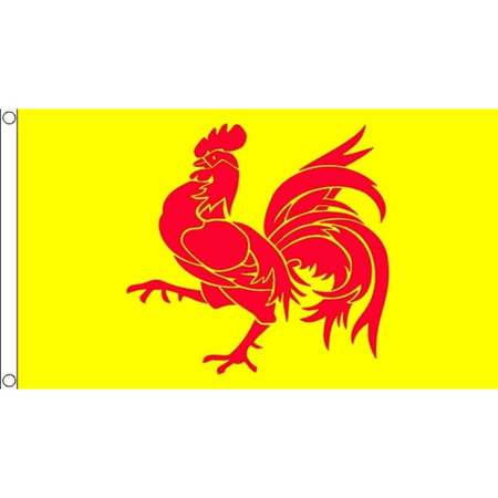Polyester vlag Wallonie