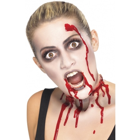 Zombie/vampire horror make-up set 